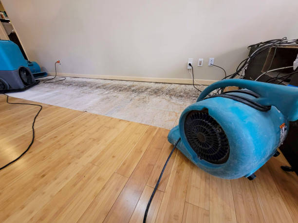 Professional Emergency Water Damage technician working in Salesville, OH